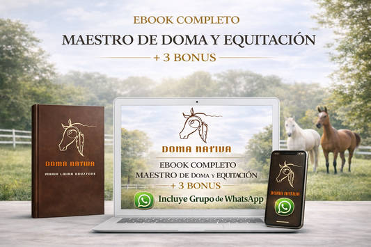 La Figura Del Maestro de Equitación + 3 BONUS